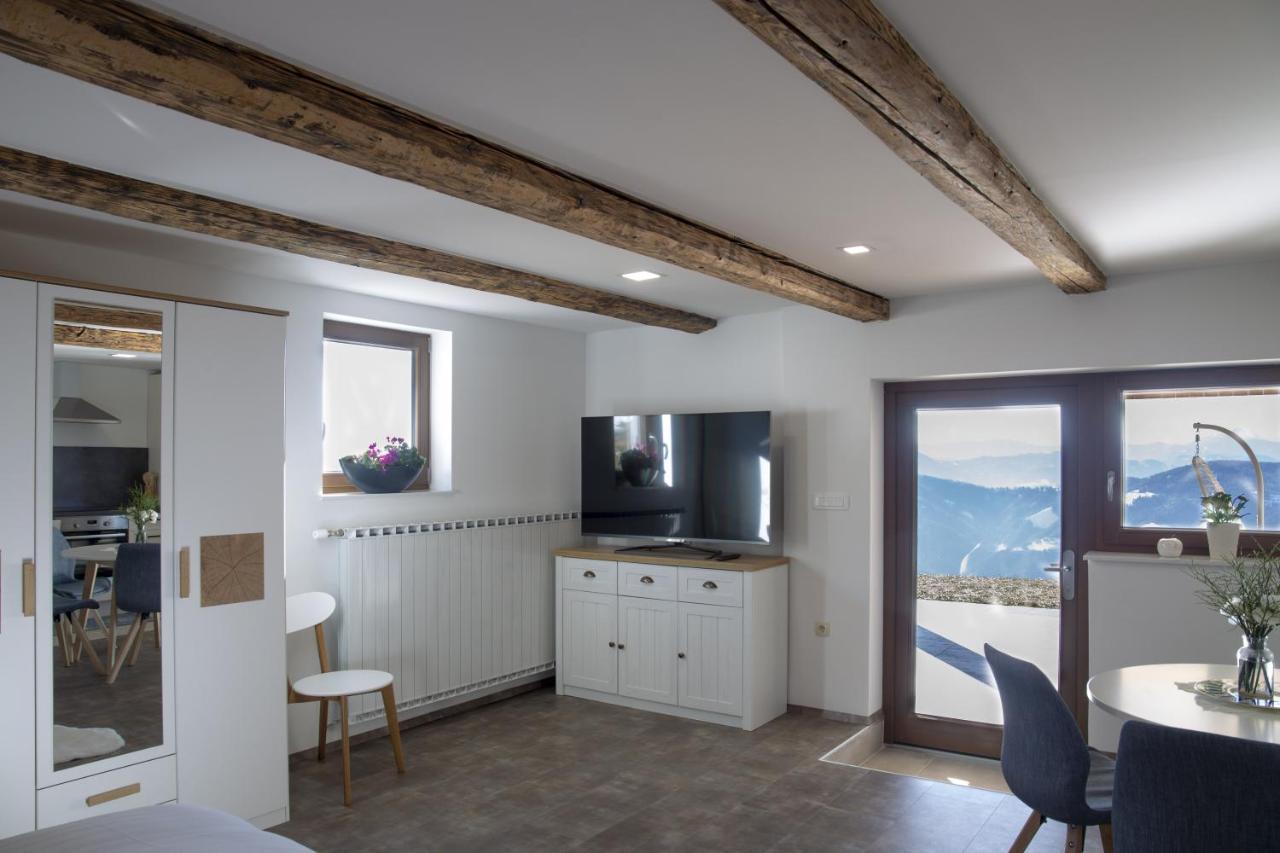 Studio 1111 With Sauna & Hot Tub Dravograd Exteriér fotografie